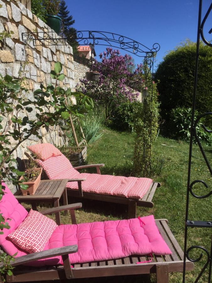 Rez De Jardin De Chalet Bois , Calme Et Verdure ! Saint-Martin-Vésubie Dış mekan fotoğraf